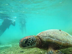 KbÑI[X[Vm[P{Óւ̓eʐ^1