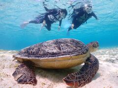 Ax񂳂̋{blue܂ق΂ւ̓eʐ^1