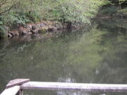 Tv̔Tؑ叫ocd̓eʐ^12