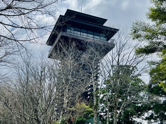 ܂XJC^[
(ԂoCN⎩]Ԃ悤Ɏv܂)_܂XJC^[