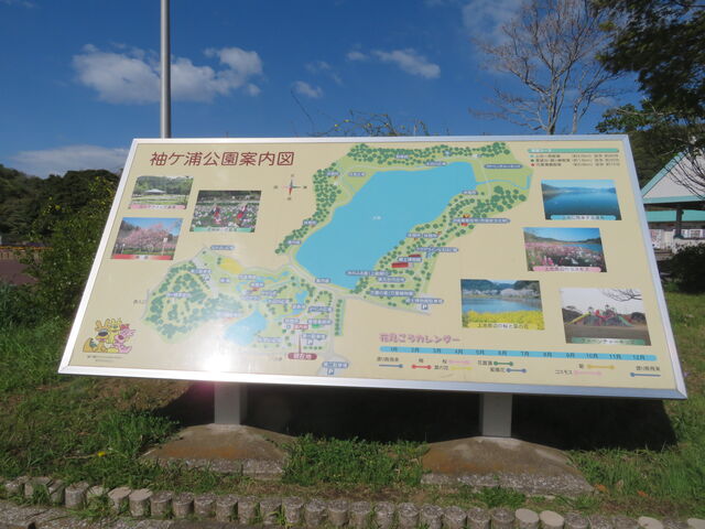 ���P�Y����_���P�Y����