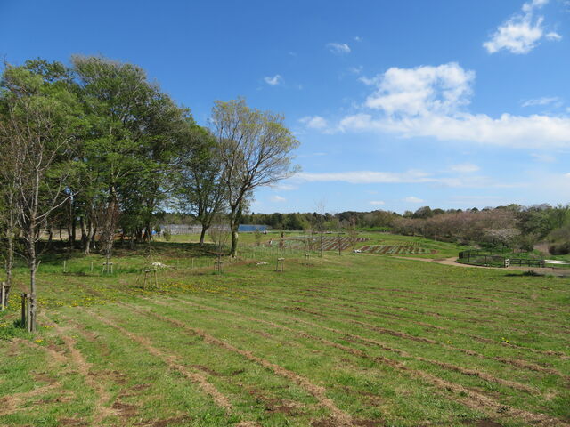 L̕xcƂɂk̎ō̓eʐ^2