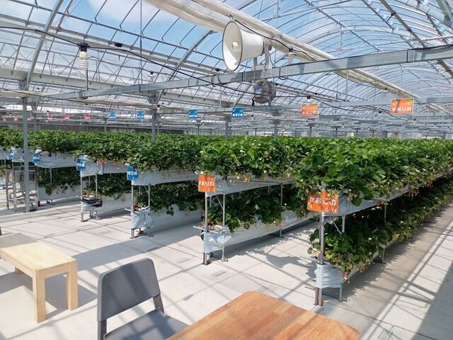 �X�g���x���[�p�[�N�݂ӂ�_�X�g���x���[�p�[�N�݂ӂ�