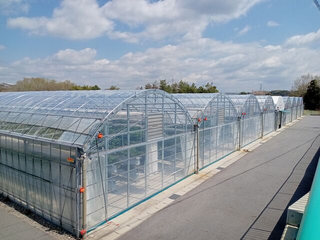 �X�g���x���[�p�[�N�݂ӂ�_�X�g���x���[�p�[�N�݂ӂ�