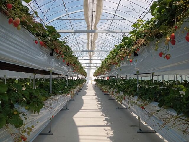 �X�g���x���[�p�[�N�݂ӂ�_�X�g���x���[�p�[�N�݂ӂ�