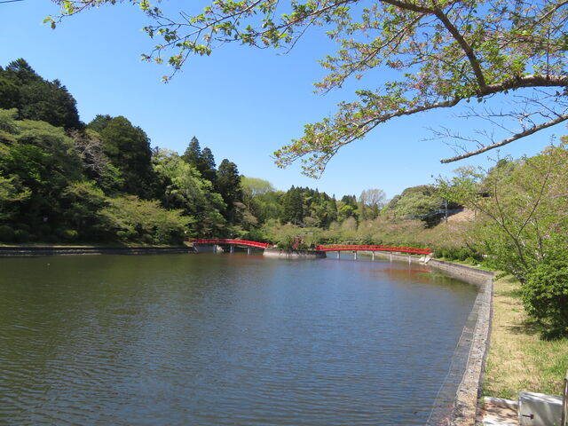 【茂原公園】アクセス・営業時間・料金情報 - じゃらんnet