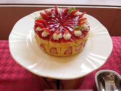 [񂳂south westiTEX@EGXgjւ̓eʐ^1