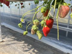 mẻʎ̗@c_ւ̓eʐ^1