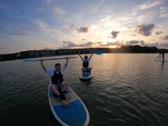 ̂̐Ί_ ADVENTURE PiPiւ̓eʐ^1