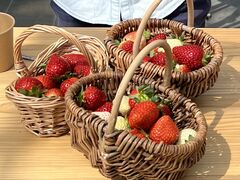 YS�����䕉����Ƃ��ւ̓��e�ʐ^1