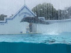 񂳂̂Ȃ퐅قւ̓eʐ^1