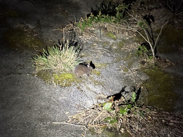 ��R���邱�Ƃ��ł��܂���_�~�b�h�i�C�g�c�A�[����