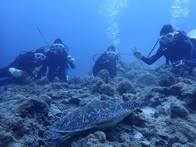 ���߂ăE�~�K���ɉ�܂����I_�����C�g�Ί_���_�C�r���O�V���b�v