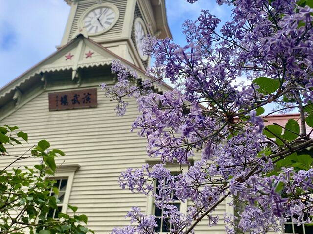 ���C���b�N�z���̎��v��_�D�y�s���v��