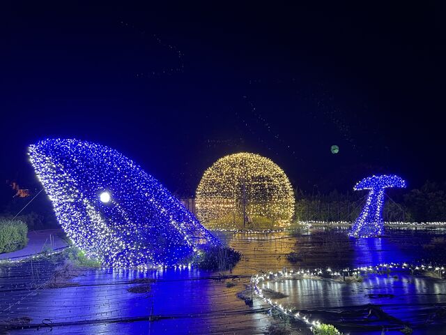 ̃C~l[V_lÉ̈䃊][gXp