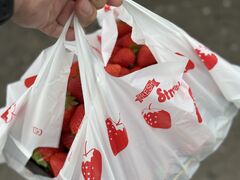 ��C�̂��₶����̓����������� �n�ӂւ̓��e�ʐ^1