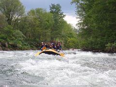 ₳񂳂̃lC`[Cւ̓eʐ^1