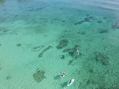 ͂THE BEACH CLUBւ̓eʐ^1