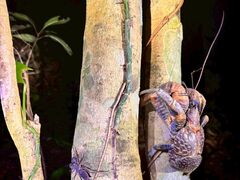 䂫̐Ί_ ADVENTURE PiPiւ̓eʐ^1