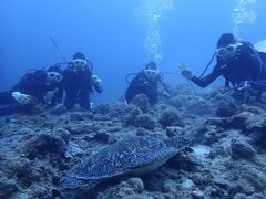 satõCgΊ__CrOVbvւ̓eʐ^1