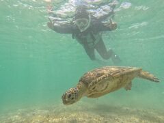 ~񂳂nico {Óւ̓eʐ^1