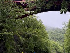 �܂�񂳂�̖삠���уx�[�X �t�����t�X���t�ւ̓��e�ʐ^1