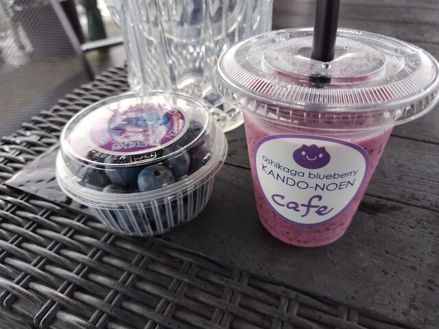 �����Ŏ�����A�u���[�x���[���A�X���[�W�[�ł��܂��B_���������u���[�x���[�����_��