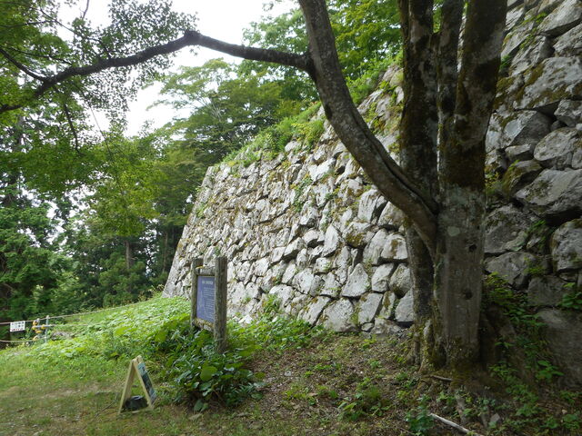 �̂�肳��̒Øa���Ղ̓��e�ʐ^1