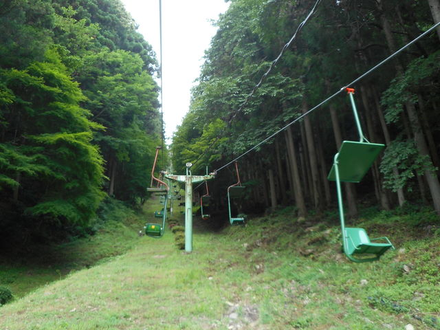 �Øa���Պό����t�g