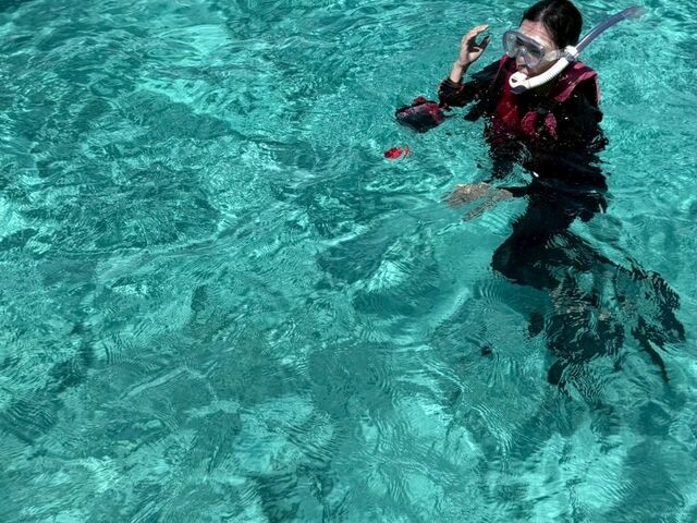 �C�t��_�A�N�A�x�[�X