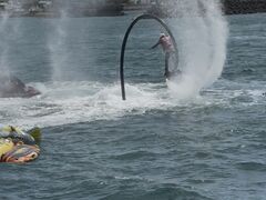 Ђ낭񂳂KEIMII MARINEւ̓eʐ^1