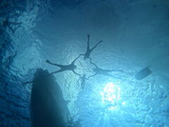 kmtm̖` ꑍAEghAcA[Xւ̓eʐ^1