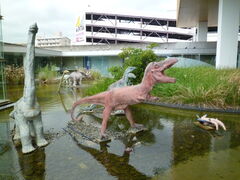 񂳂̊Ss̊CȊwقւ̓eʐ^1