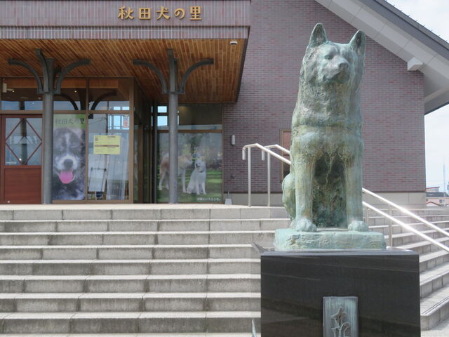 َsό𗬎{݁@Hc̗
n`_َsό𗬎{݁@Hc̗