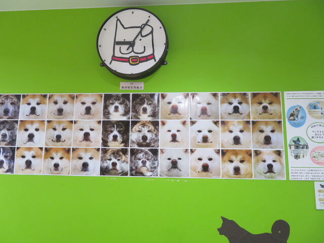 َsό𗬎{݁@Hc̗
ٓŋxȅHc_َsό𗬎{݁@Hc̗