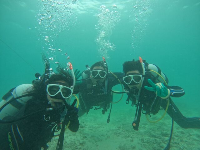 _CrOɎʐ^⓮BĒA1{̑fGȓɂ܂Ƃ߂ĂAƂĂ܂B_V[EH[^[_CrOT[rX