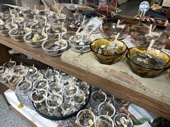 ỹRCǑ Cllepham Coin(Nb|RC)ւ̓eʐ^1