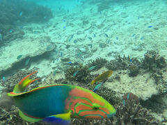 ݁[POWER MARINEip[}jꍡAmւ̓eʐ^1