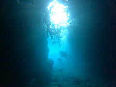 Ƃ݂Diving@Shop Leii_CrOVbvCjւ̓eʐ^1