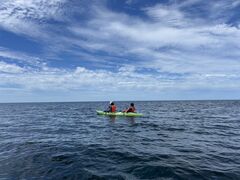 Marine Shop YOU̎ʐ^2