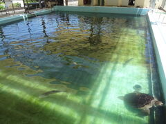 񂳂̂ނƔpZقւ̓eʐ^3