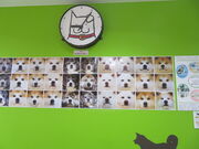 Lَ̑sό𗬎{݁@Hc̗̓eʐ^3