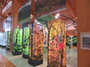 L̔_RnEYZ^[ق̓eʐ^3