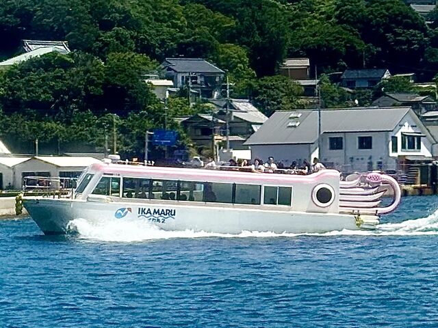 �C�J��_�W�[���i�C���W�]�D�j