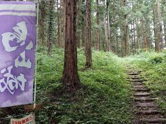 zin̉GRՂւ̓eʐ^1