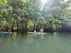 ߂̐Ί_ ADVENTURE PiPiւ̓eʐ^2