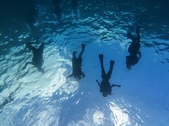 walnutty̐Ί_ ADVENTURE PiPiւ̓eʐ^1