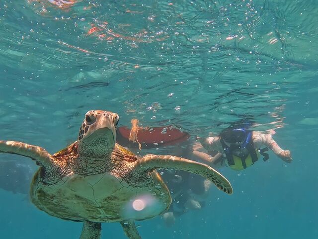 �Q��Ƃ��E�~�K���A�o�b�`����܂����I_Nami�{�Ó�