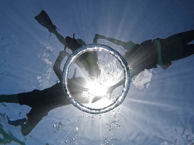 �J�����}���Ƃ��Ă��ō�_Nami�{�Ó�