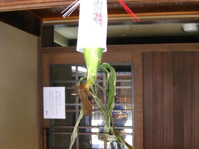 ����ɒ݂邳�ꂽ�Ƃ����낱���̖��i���ǂ���j�@����ɂȂ�܂�_SAKESHOP�������@����{�X